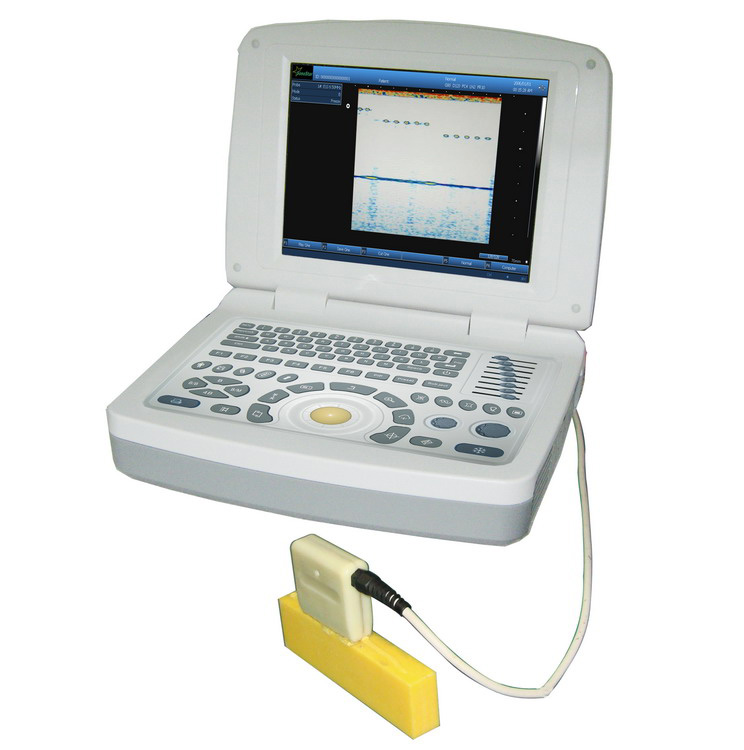 BS-2000 B扫描检测成像系统(工业无损检测, NDT,超声,塑料管道)